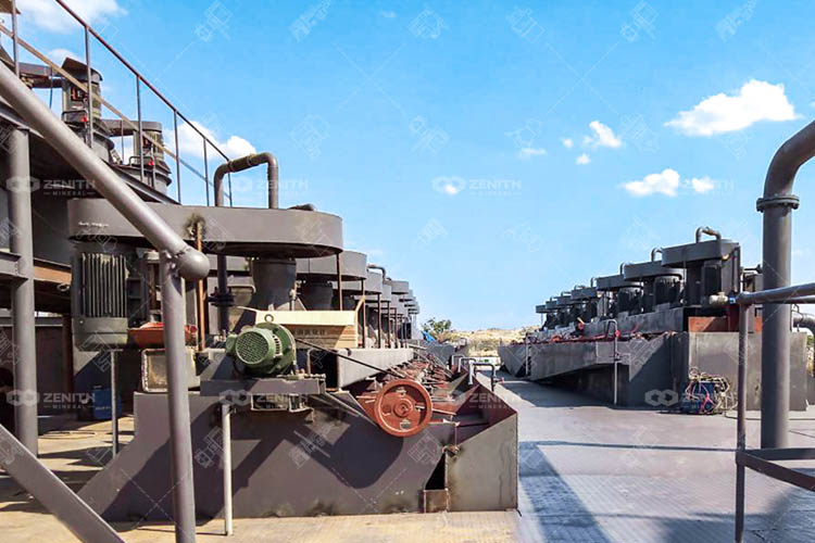 Tanzania Gold CIL Processing Plant